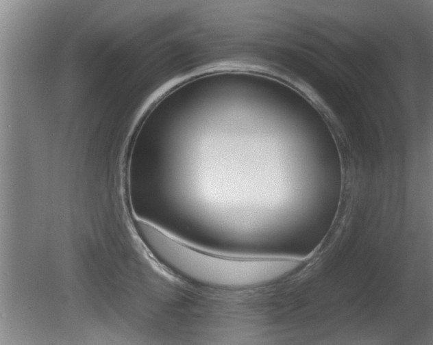 X0000081310854200701111000
