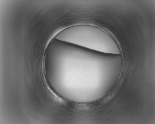 X0000081310855200701111000