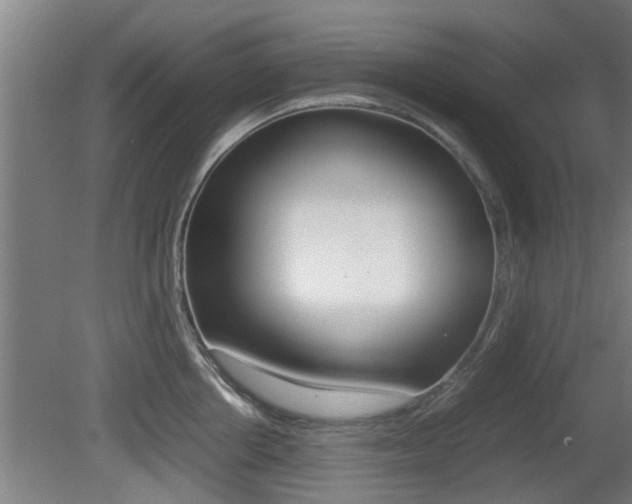 X0000081310858200701111000