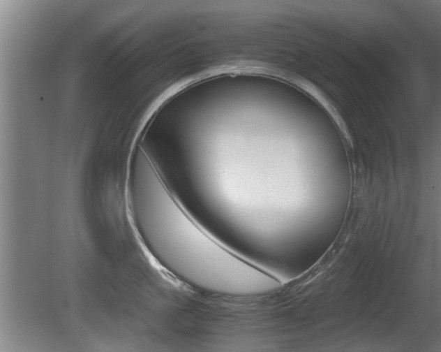 X0000081310861200701111001