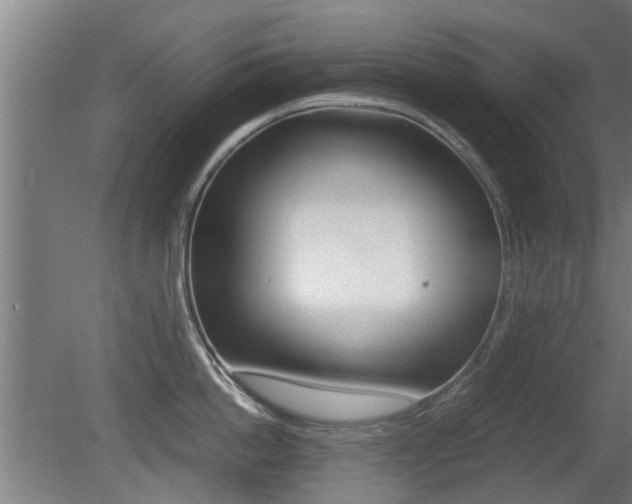 X0000081310862200701111001
