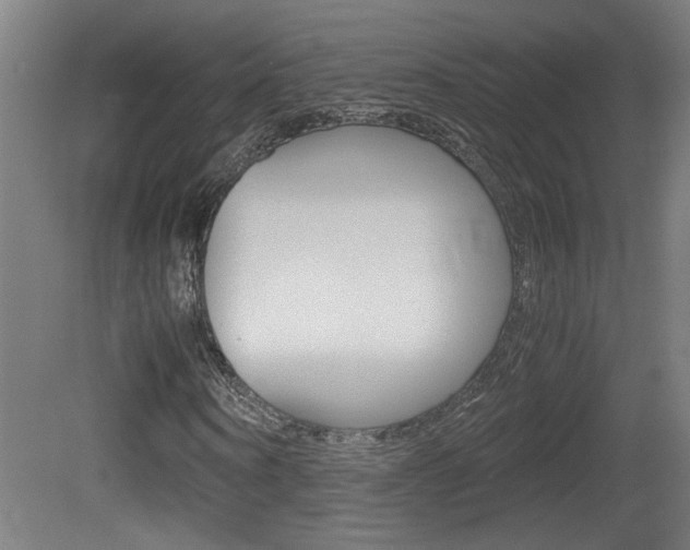 X0000081310866200701111000