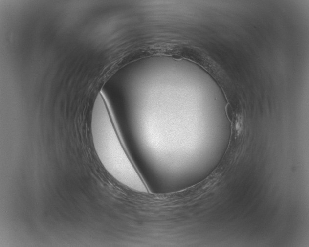 X0000081310867200701111000