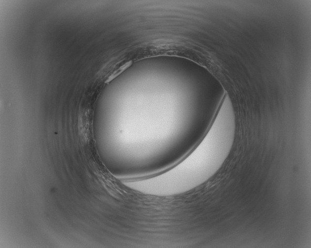 X0000081310868200701111000