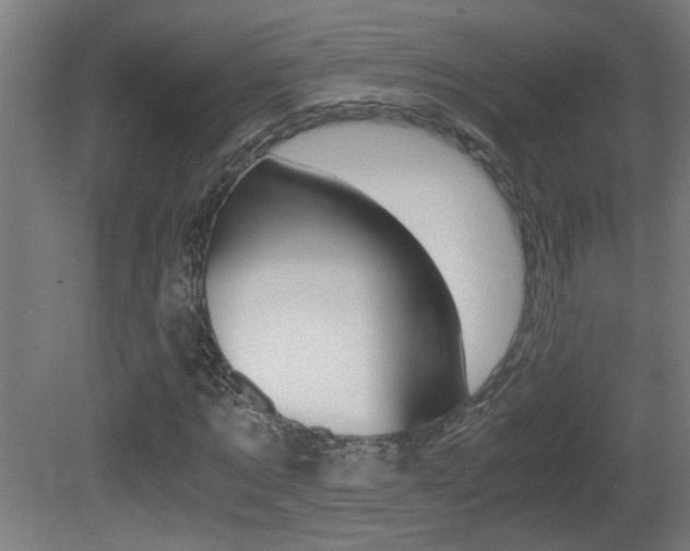 X0000081310869200701111000