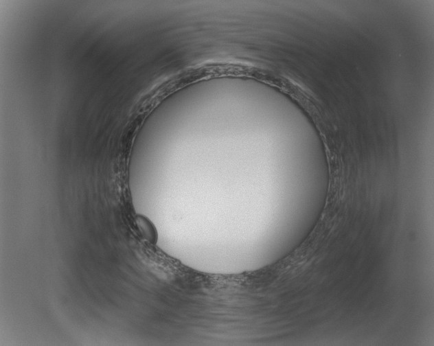 X0000081310870200701111000