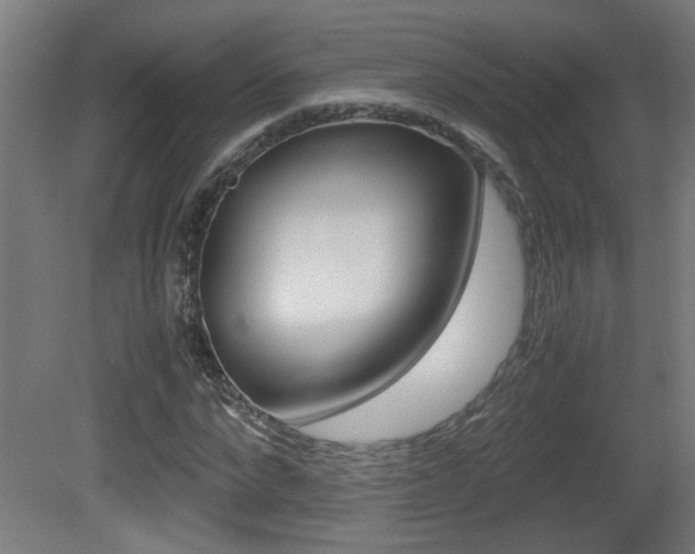 X0000081310872200701111000