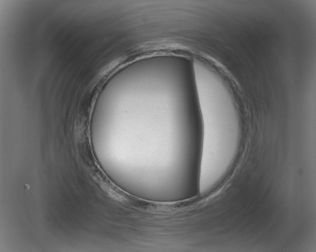 X0000081310873200701111000