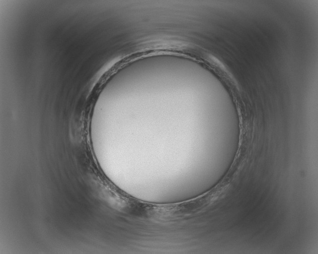 X0000081310875200701111000