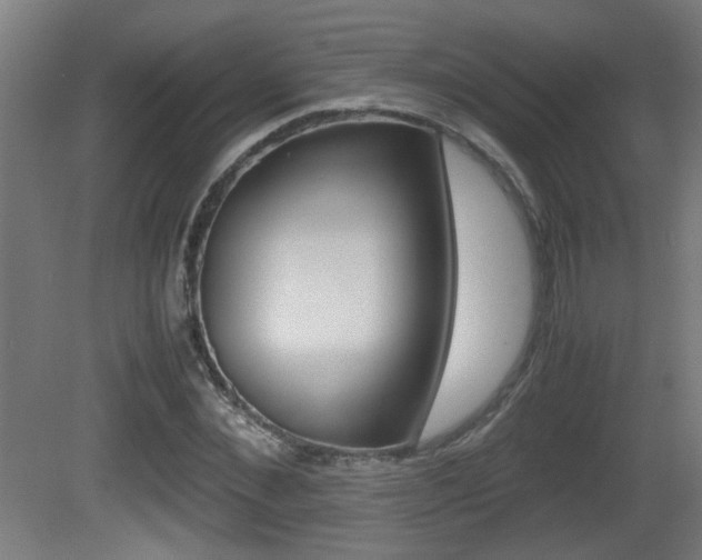 X0000081310876200701111000