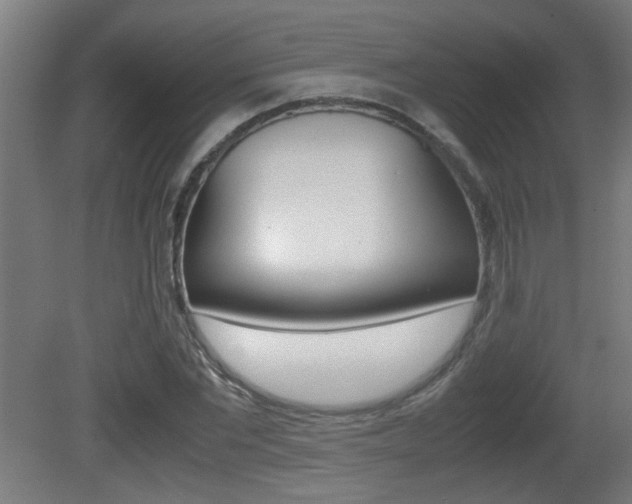 X0000081310877200701111000