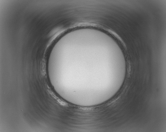 X0000081310878200701111000