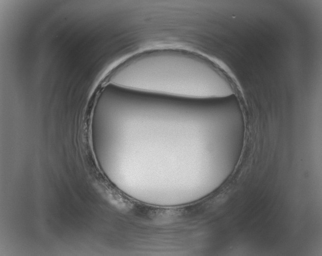 X0000081310879200701111000