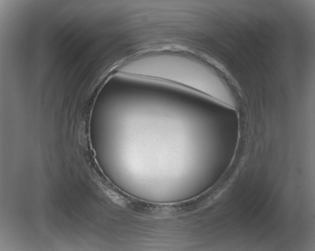 X0000081310881200701110959