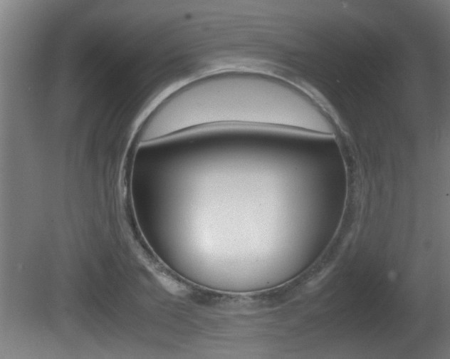 X0000081310885200701110959