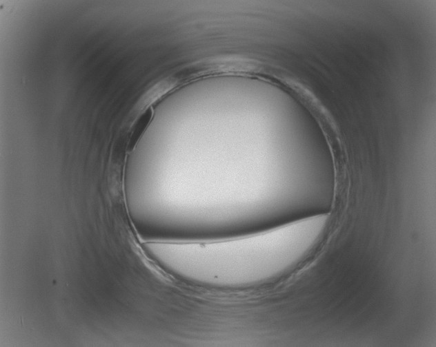 X0000081310889200701110959