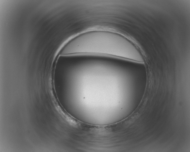 X0000081310896200701110959