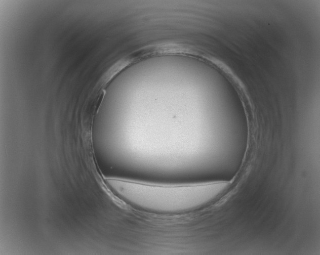X0000081310897200701110959