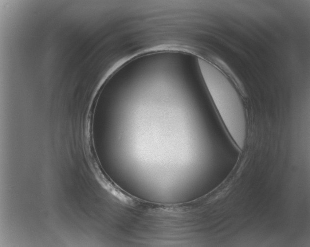 X0000081310900200701110959