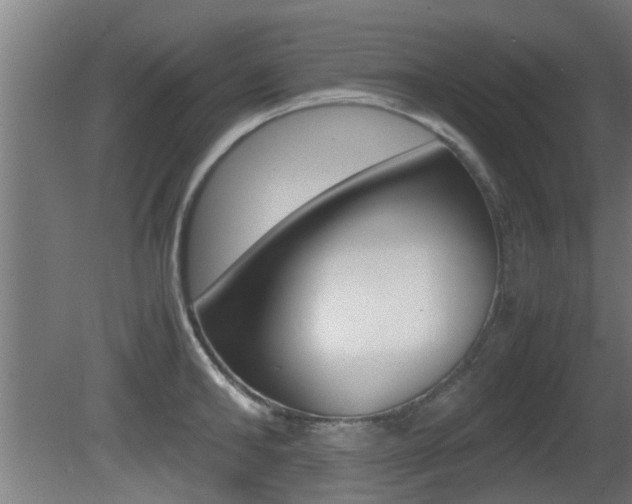 X0000081310902200701110959