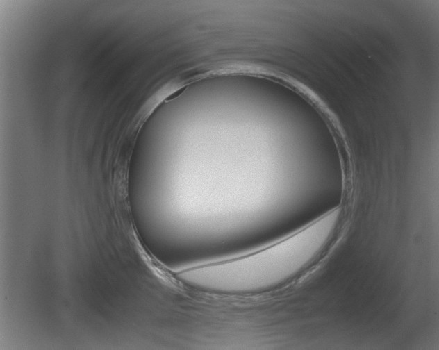 X0000081310905200701110959
