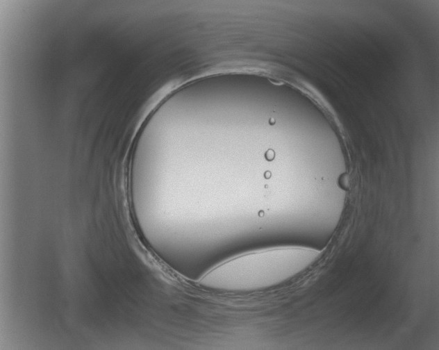 X0000081310907200701110959