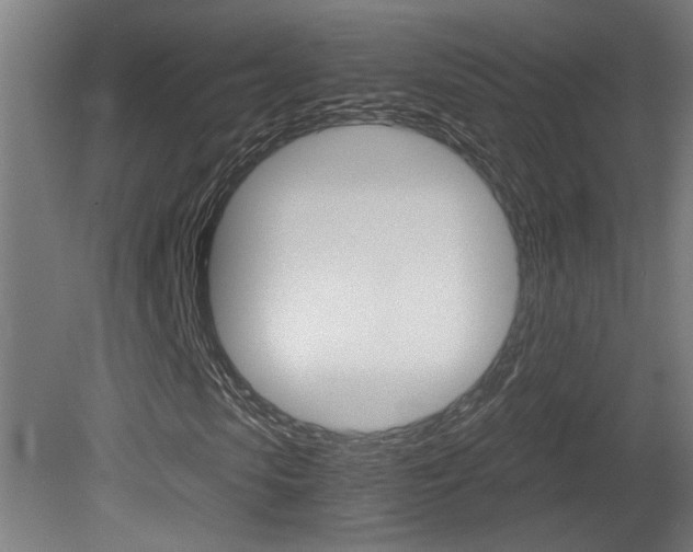 X0000081310913200701110958