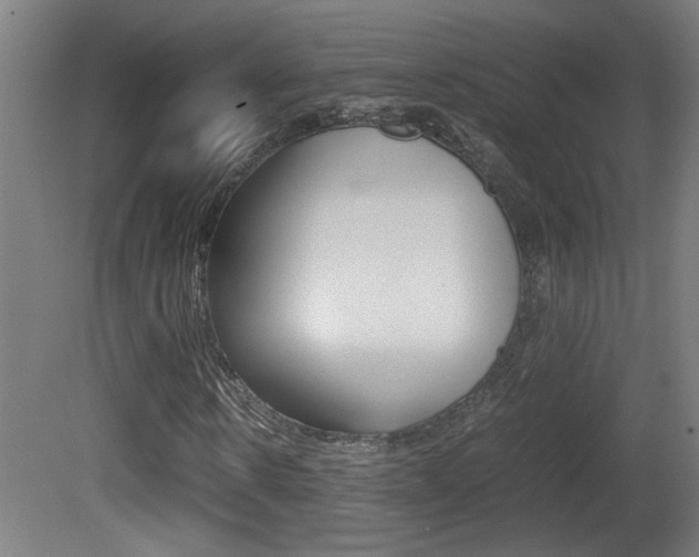 X0000081310914200701110958