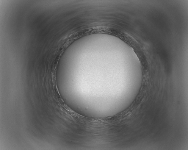 X0000081310917200701110958