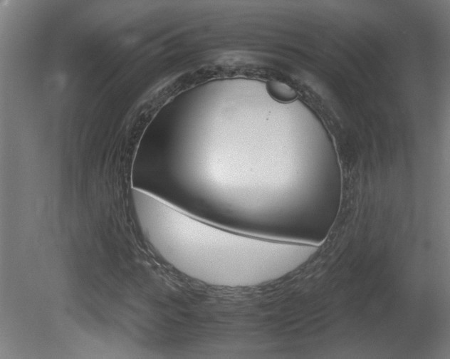 X0000081310919200701110958