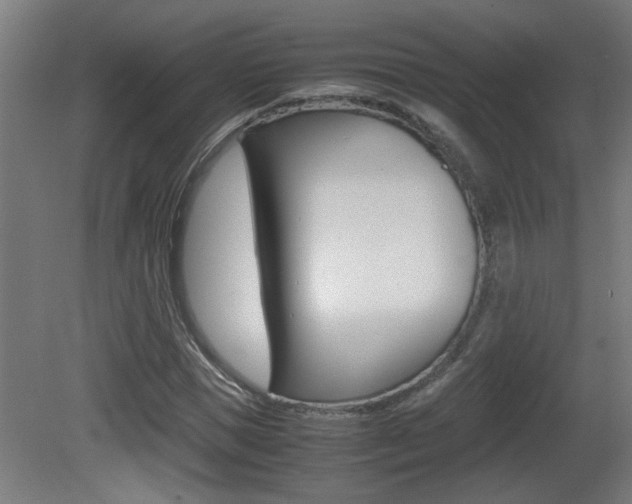 X0000081310921200701110958