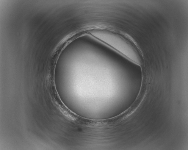 X0000081310922200701110958