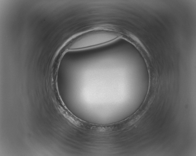 X0000081310923200701110958