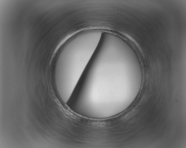 X0000081310925200701110958