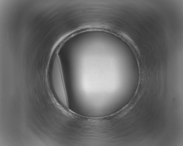 X0000081310928200701110958