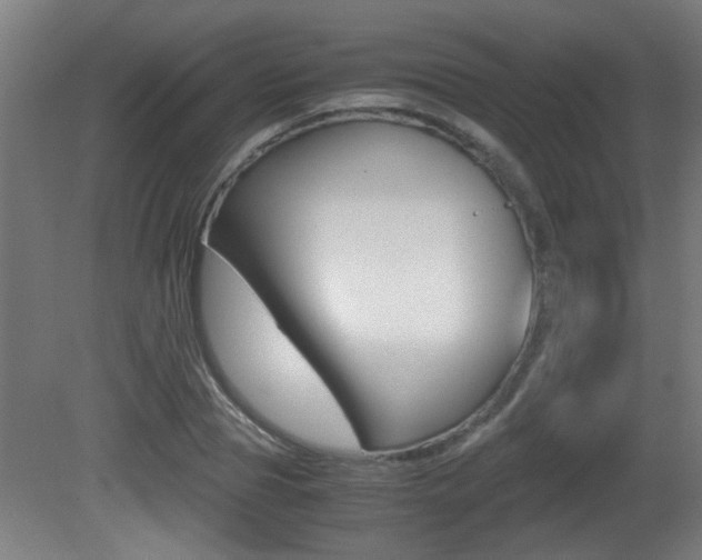 X0000081310929200701110958