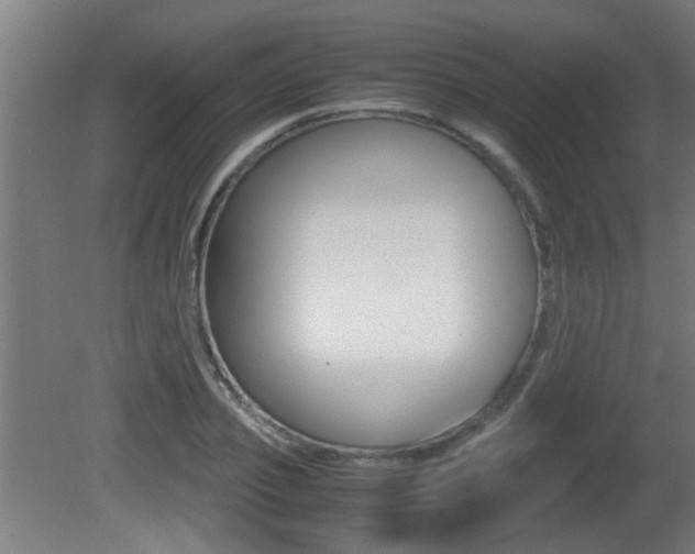 X0000081310933200701110958