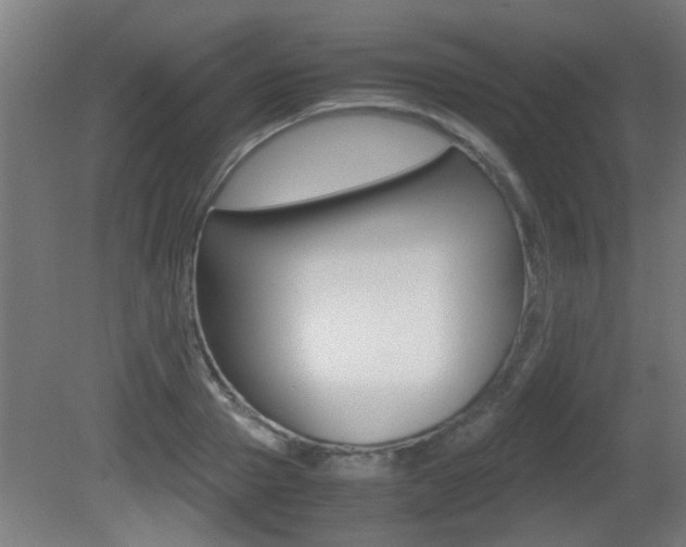 X0000081310937200701110959