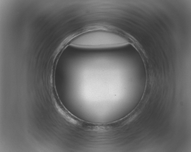 X0000081310938200701110959