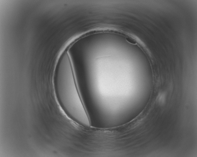 X0000081310943200701110959