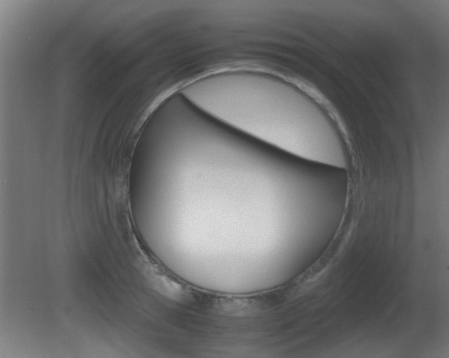X0000081310945200701110959