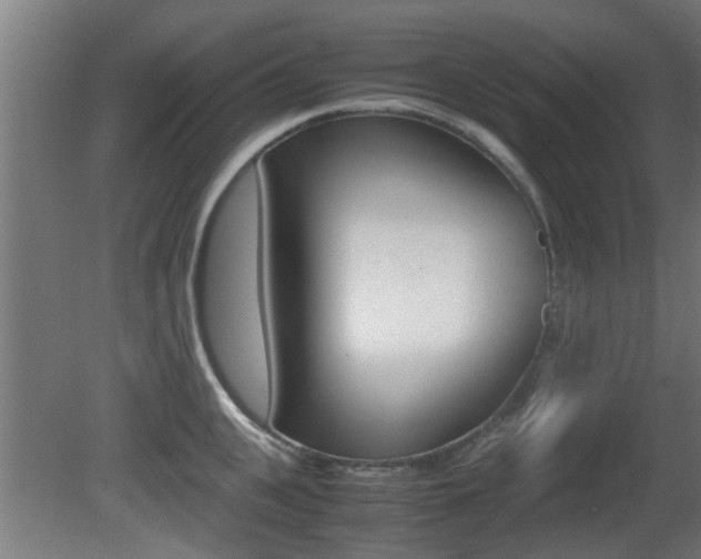 X0000081310951200701110959