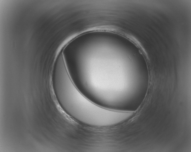 X0000081310952200701110959