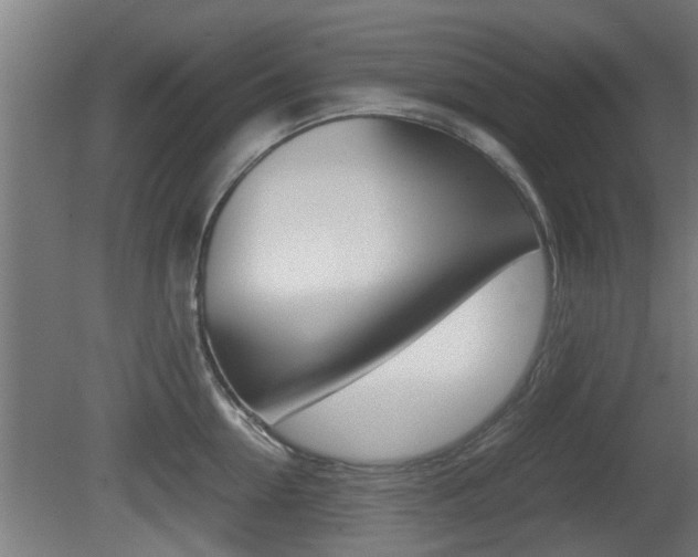 X0000081310954200701110959