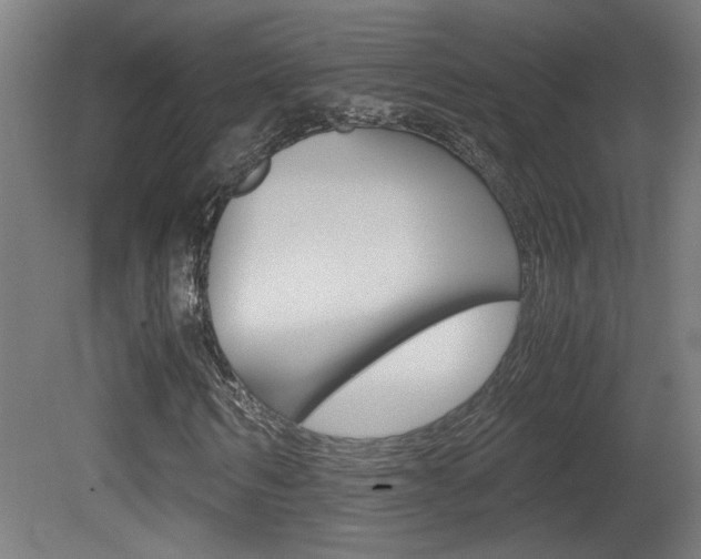 X0000081310962200701110958