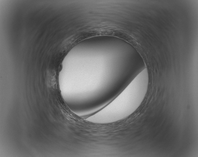 X0000081310963200701110958