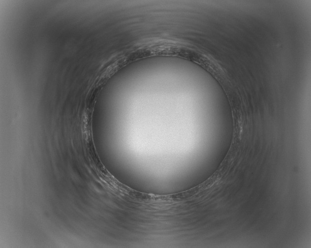 X0000081310964200701110958