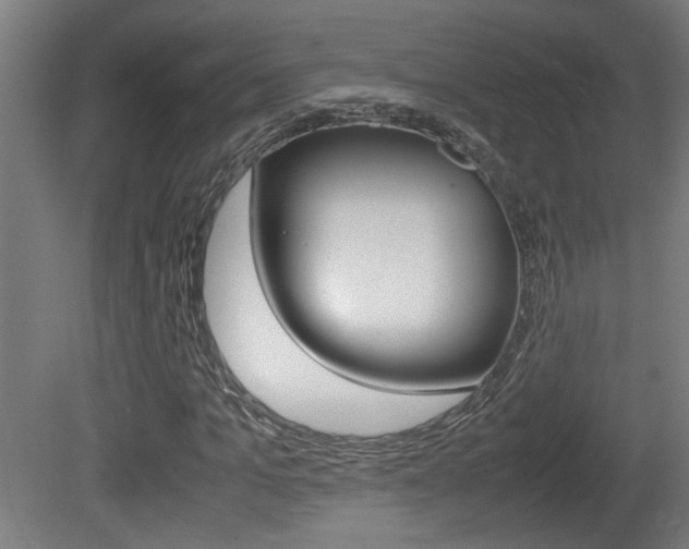 X0000081310965200701110958