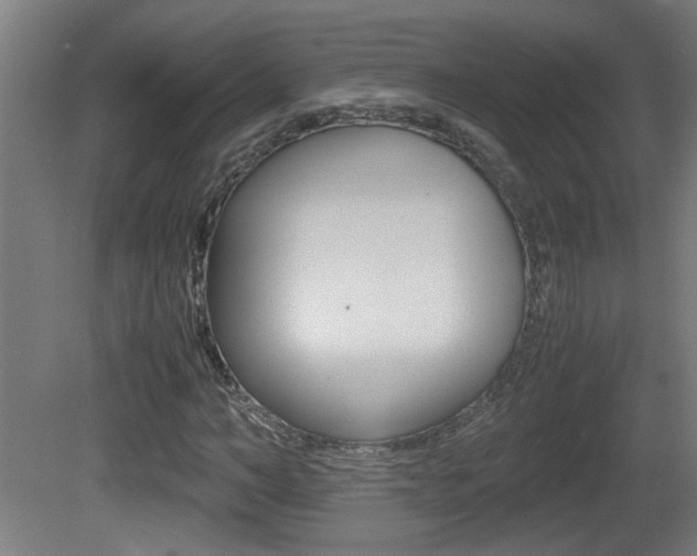 X0000081310966200701110958