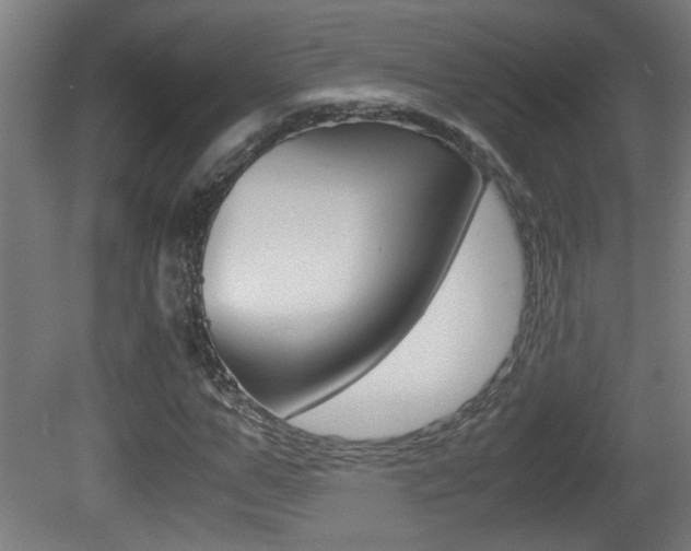 X0000081310967200701110958